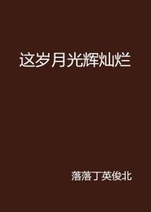 灿烂岁月,回首激情燃烧的岁月